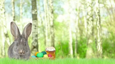 Gray rabbit and easter eggs on green grass Stock Footage 86738815