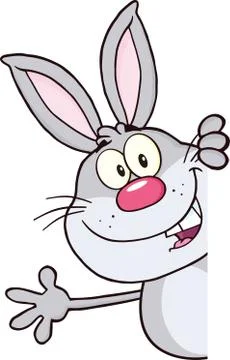 Gray Rabbit Cartoon Character Looking Around A Blank Sign And Waving Stock Illustration