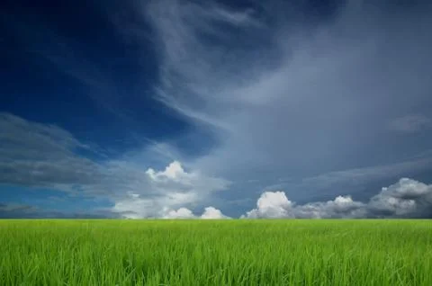 Gray rain clouds flying on sky over green field Foto stock