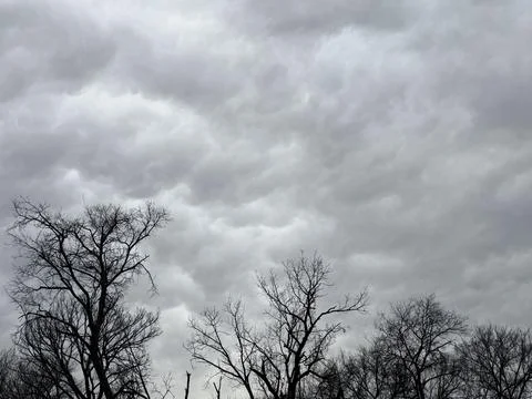 Gray Rain Clouds Over Leafless Winter Trees Stock Photos