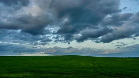 Gray rain clouds over a wheat field during sunset. Weather forecast. Rain in  Stock Photos