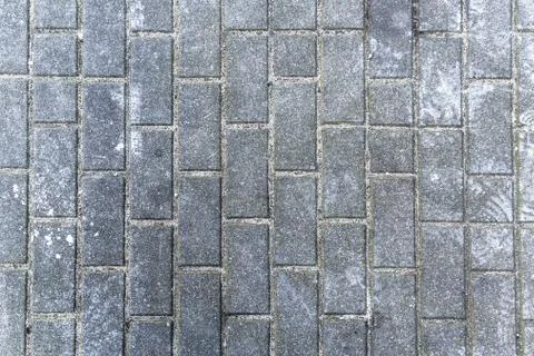Gray rectangular paving city Stock Photos