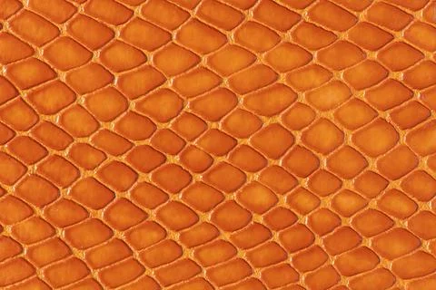 Gray reptile scale texture background Stock-Fotos