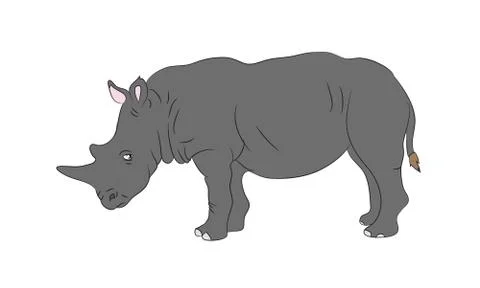 Gray rhino worth drawing, vector Stock Illustration