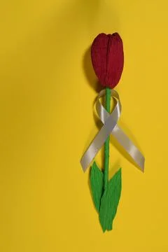 Gray ribbon Stock Photos