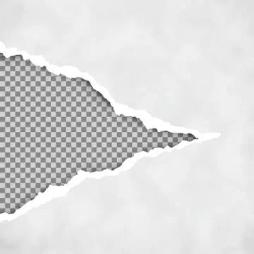 Gray ripped open paper with transparent background. Torn paper sheet. Torn pa Stock Illustration