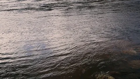 Gray river in the spring Stock Footage 73645153