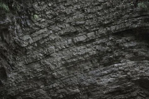 Gray rock. Stock Photos