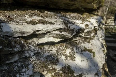 Gray rock surface covered with moss Stock Photos