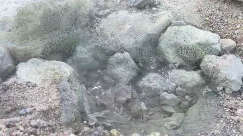 Gray rocks and natural boiling hot spring water Stock Footage 221888082
