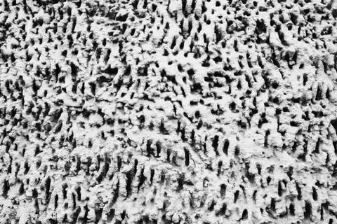 Gray rough decorative texture plaster on the wall outdoors Stock Photos