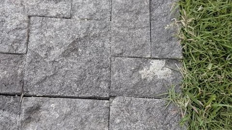 A gray, rough-textured stone block path is shown on the left side, with vib.. Stock Photos