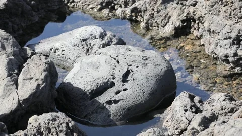 Gray round stones surrounded by water. Stock Footage 107697572