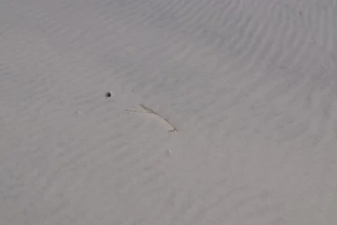 Gray sand on the beach Stock Photos
