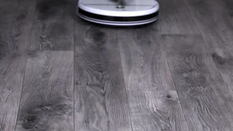 A gray Scottish fold kitten rides on a white robot vacuum cleaner Video stock 195967567