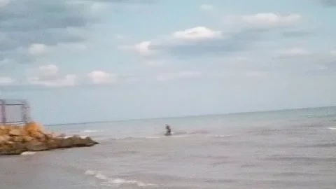 Gray seagull birds fly close to the sandy beach of the Sea of Azov. Concept. Sea Stock Footage 159176722