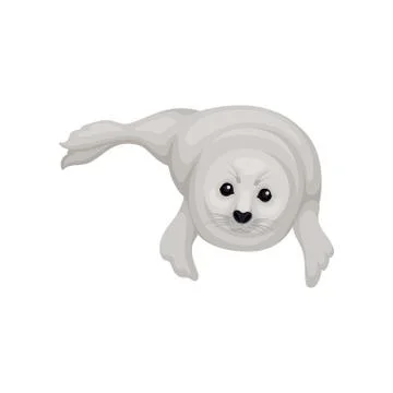 Gray seal pup lying isolated on white background. Marine mammal with black shiny Stock Illustration