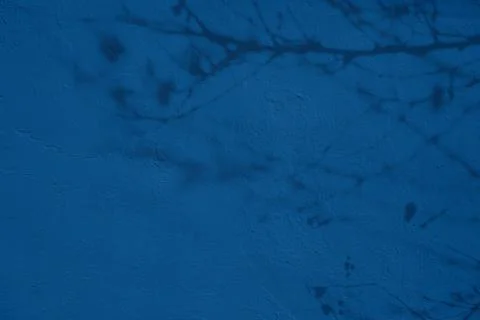 Gray shadow of the branches on a blue concrete textured wall Stock Photos