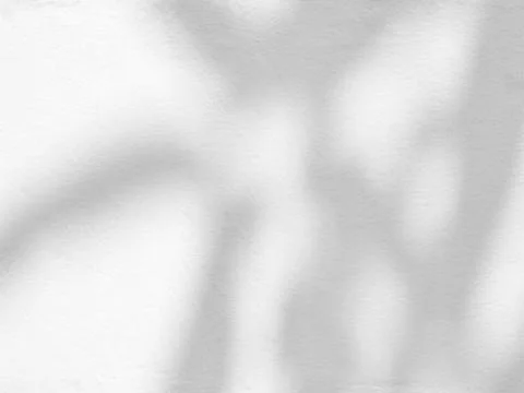 Gray shadow of the leaves on cement wall. Stock Photos