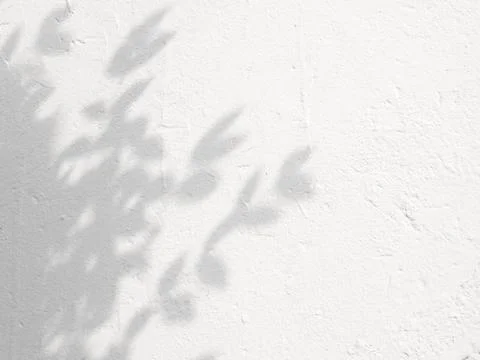Gray shadow of the leaves on a white wall. Foto stock