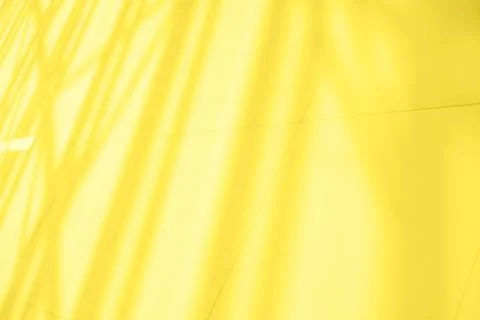 Gray shadows background Stock Photos