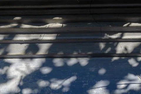 Gray shadows of branches and leaves on the old front wall. The cracked, weath Stock Photos
