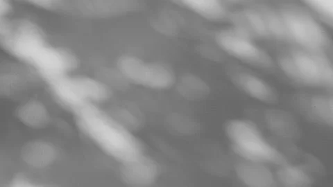 Gray shadows leaf in wind blowing overlay on white concrete wall Stock Footage 166796156