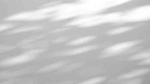 Gray shadows leaf in wind blowing overlay on white wall Stock Footage 168428738