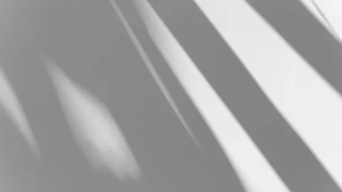 Gray shadows leaf in wind blowing overlay on white concrete wall Stock Footage 221668075