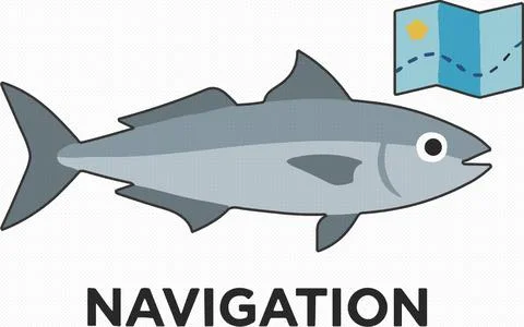 Gray Shark Tail and Body Cartoon Vector Illustration Stock Illustration