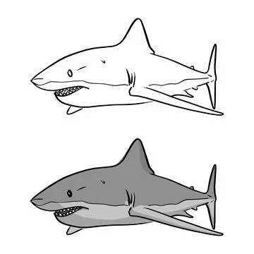Gray shark vector illustration sketch doodle hand drawn with black lines isol Stock Illustration