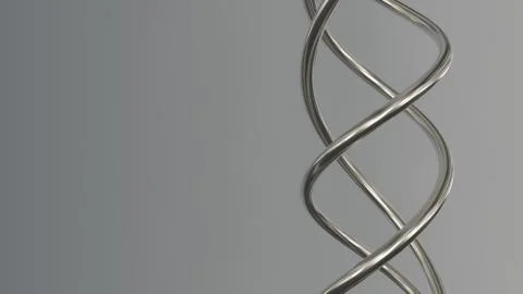 Gray shiny chrome metal spring spiral isolated on white gray background with  Illustrazione stock