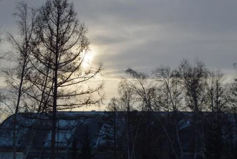 Gray sky with clouds, trees at sunset and construction hangar Foto stock