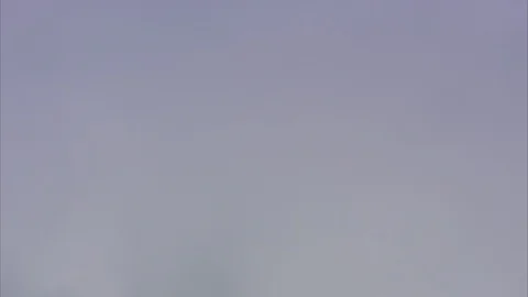 Gray Sky Hanging Over /Dead Trees and Pine Forest Stock Footage 86755818