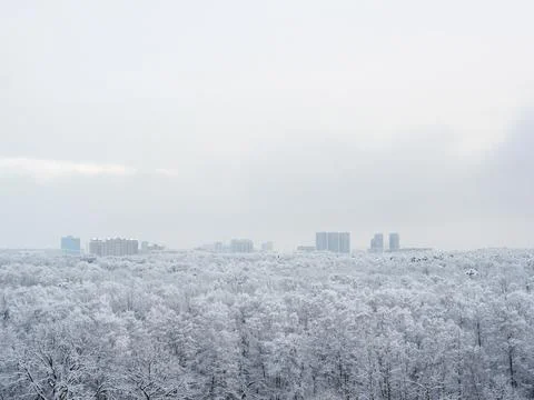 Gray sky over snow-covered park and urban houses Stock Photos