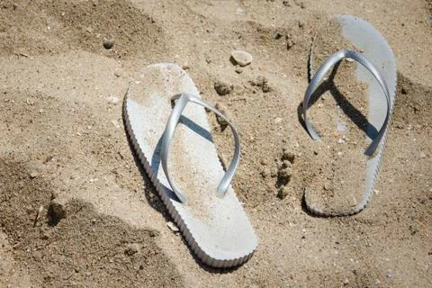 Gray slates on the sand of the beach Stock Photos