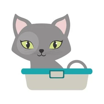 Gray small cat sitting green eyes bathtub Stock Illustration