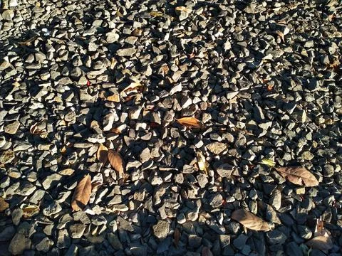 Gray small rocks ground texture with dry leaf. Foto stock