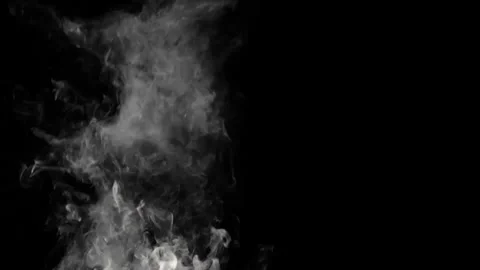 Gray Smoke Effect Slow Motion 4k 스톡 동영상 314270801