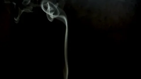 Gray smoke isolated on black background. Stock Footage 296520901