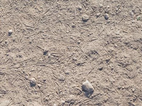 Gray soil Foto stock