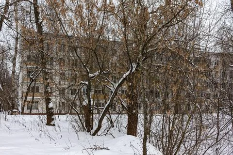 Gray Soviet panel house in winter hides behind trees Stock Photos
