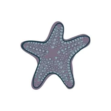 Gray starfish. Stock Illustration