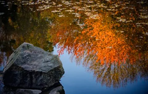 A gray stone and a yellow tree are reflected in the water. Foto stock