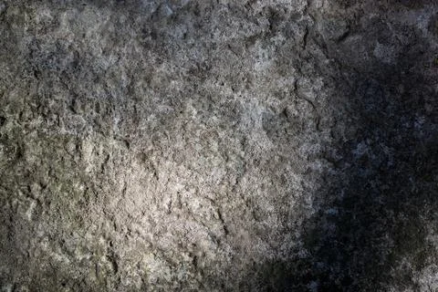 Gray stone background with fine moss and vignetting Stock Photos