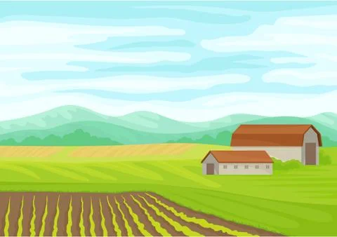 Gray stone barn in the field. Vector illustration on white background. Stock Illustration