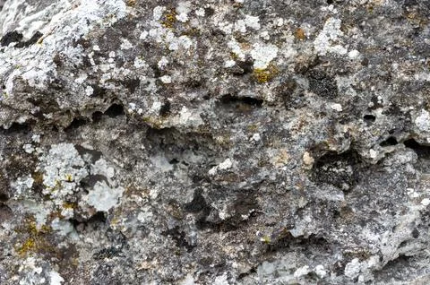 Gray stone with beautiful patterns Stock Photos