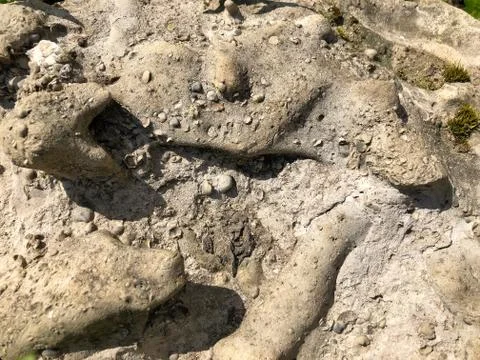 Gray stone concrete texture for presentation background Foto stock