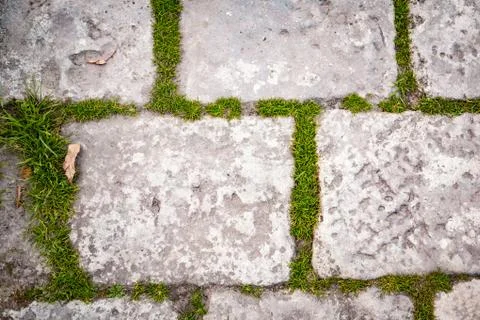 Gray stone on earth. the texture of a stone laid on the road Stock Photos