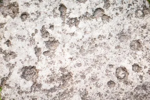 Gray stone on earth. the texture of a stone laid on the road Stock Photos